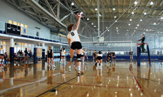Women's volleyball